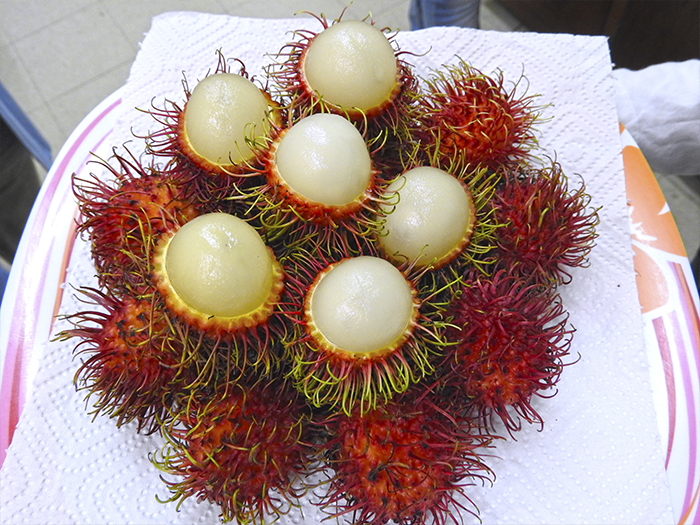 Frutos de Rambutan uno de los rubros impulsados por el Programa de Diversificación.
