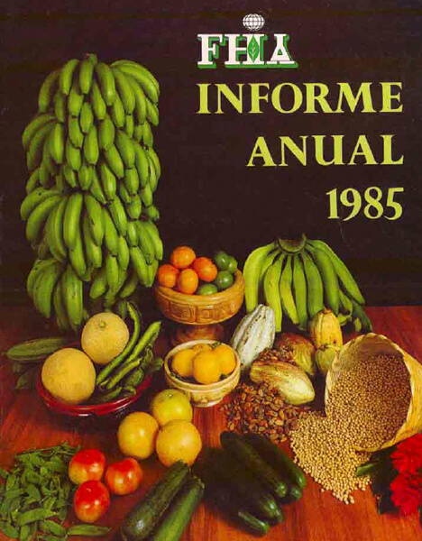 Informe Anual 1985