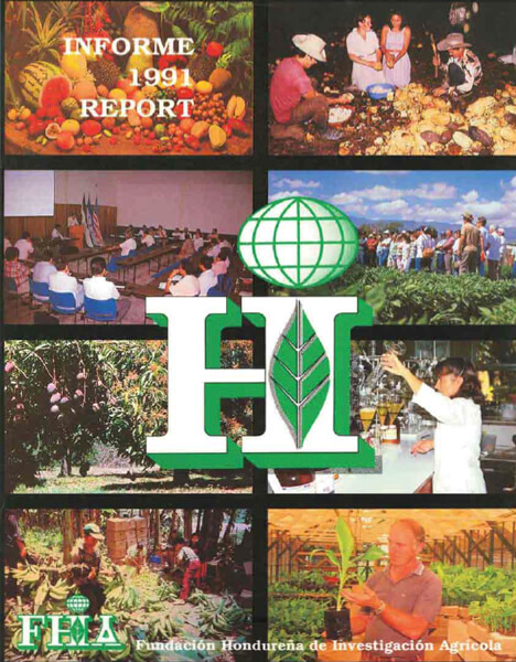 Informe Anual 1991