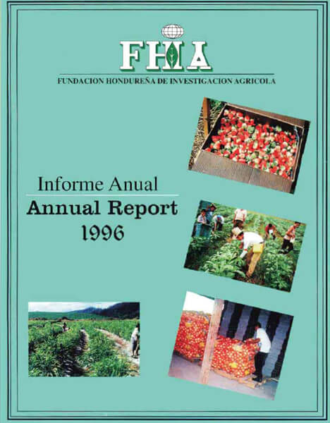 Informe Anual 1996