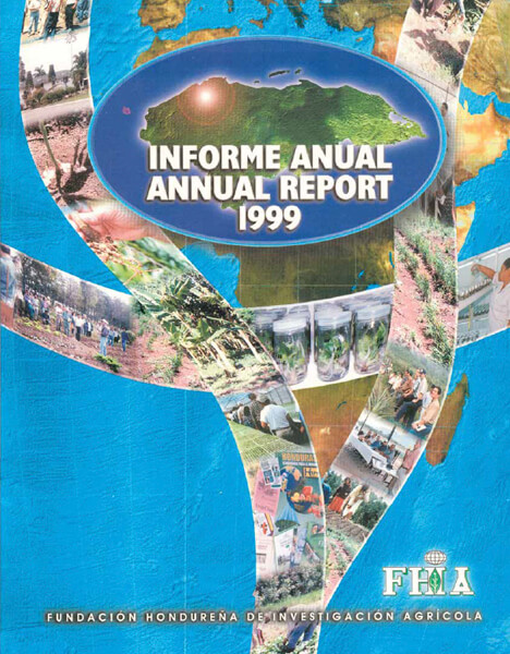 Informe Anual 1999