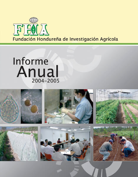 Informe Anual 2004-2005