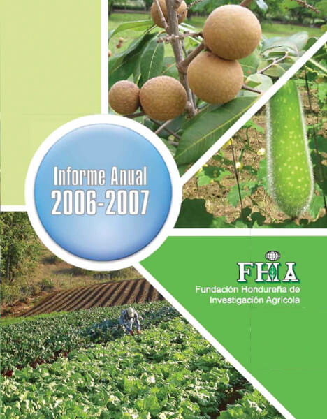 Informe Anual 2006-2007