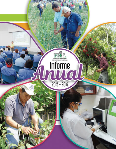 Informe Anual 2015-2016