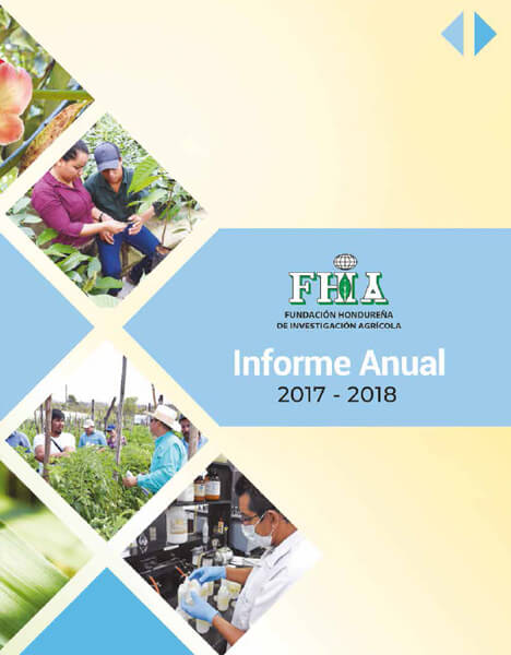 Informe Anual 2017-2018