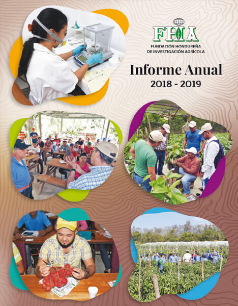 Informe Anual 2018-2019