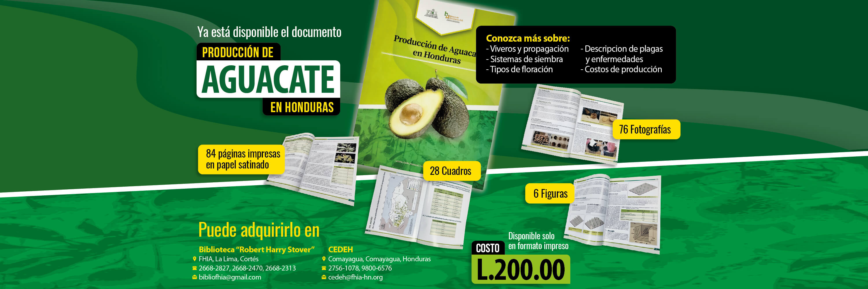 Venta de libro Producción de Aguacate en Honduras