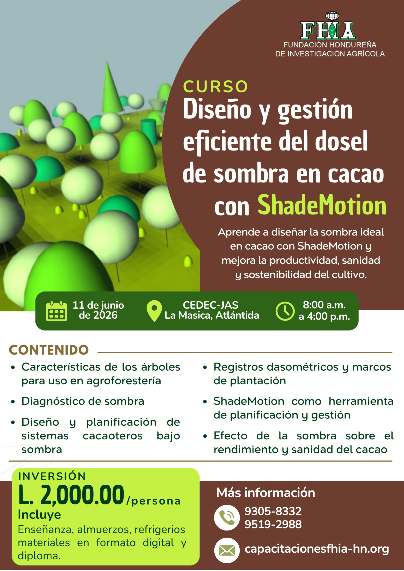 Curso ShadeMotion